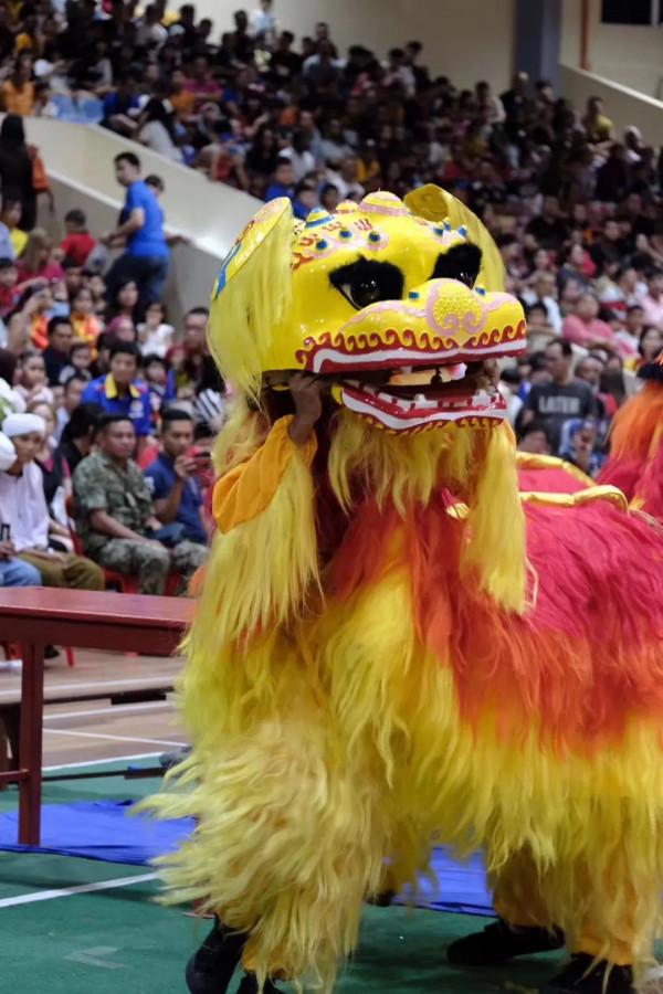 《雄獅少年》：未來可期