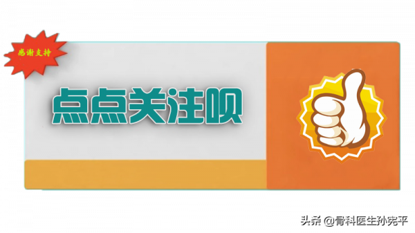 解剖圖譜｜最全面的下肢肌肉解剖圖譜