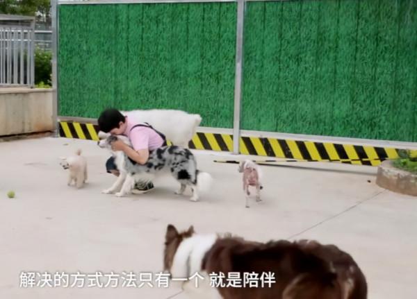 新職業“寵物營養師”：她幫3000多隻胖狗減肥成功