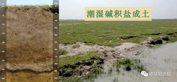 東北鹽鹼化，令人非常擔憂