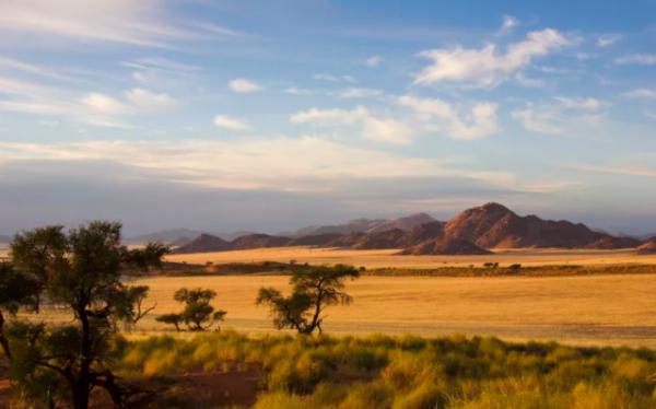 鬣狗愛乾淨?事實上關於鬣狗的這些傳聞都不真實,它們也不是犬科 鬣狗愛乾淨?事實上關於鬣狗的這些傳聞都不真實,它們也不是犬科