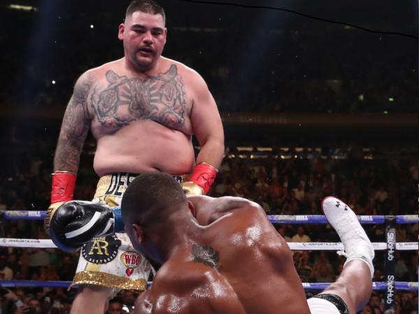 安迪-魯伊茲:約書亞輸給我後,變的沒自信了 安迪-魯伊茲:約書亞輸給我後,變的沒自信了