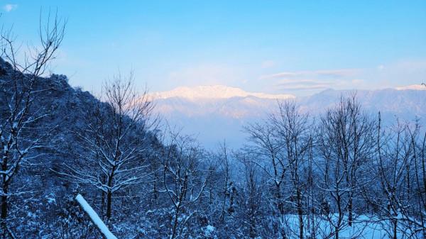 在家觀冬奧 聯想冰雪記憶
