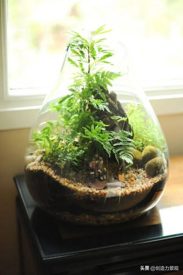 把大自然裝進瓶子裡，種在瓶子裡的微景觀究竟有多美？