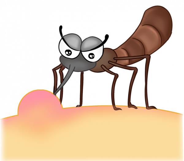 紅花油、活絡油、萬花油，跌打損傷該用哪種？中醫專家告訴您……