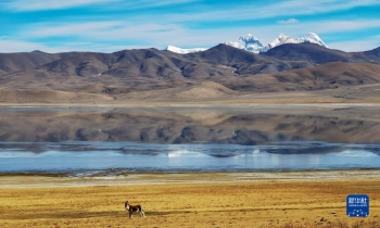 鏡觀中國·新華社國內新聞照片一週精選