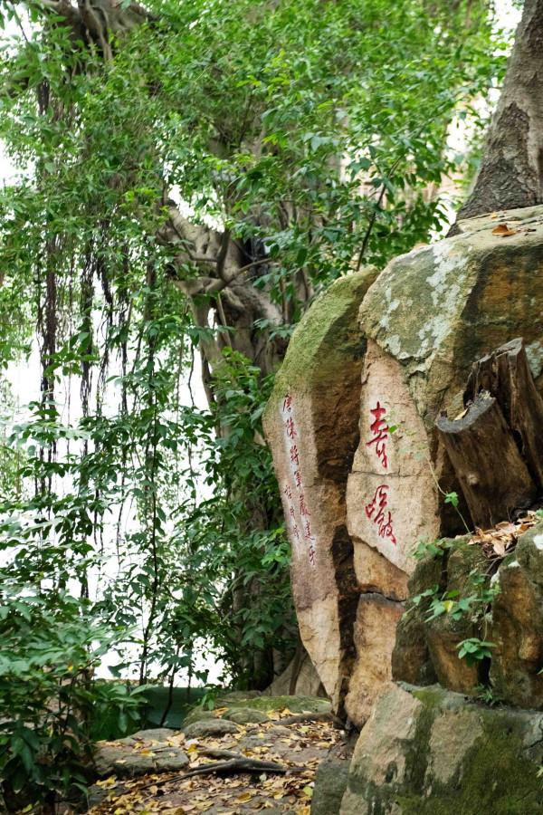 福州超神奇的一棟樓，建築按北斗七星狀排列，颱風來了都要繞著走