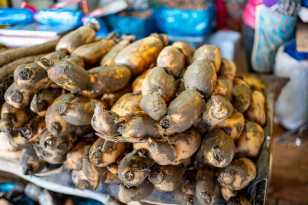 南沙十九湧漁人碼頭，週末好去處，海鮮和特產是否真便宜呢？