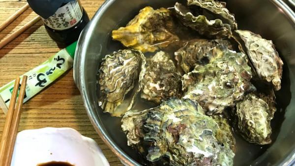 鍋具選購指南，值得買VS不要買，建議收藏，附平替和使用秘籍