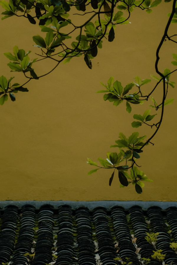 浩然之氣,源於初心 浩然之氣,源於初心