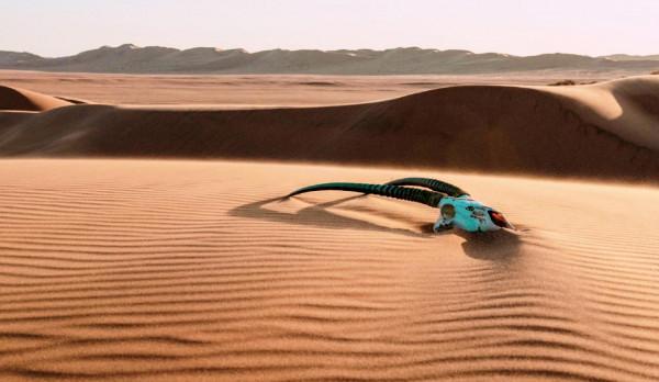 禁地骷髏海岸:荒涼而陰森之地,卻因為10艘沉船有了生氣 禁地骷髏海岸:荒涼而陰森之地,卻因為10艘沉船有了生氣