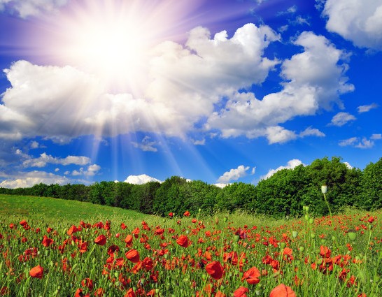 你的為人如何都藏在你的面相裡,它是給他人遞的最直接的“名片” 你的為人如何都藏在你的面相裡,它是給他人遞的最直接的“名片”