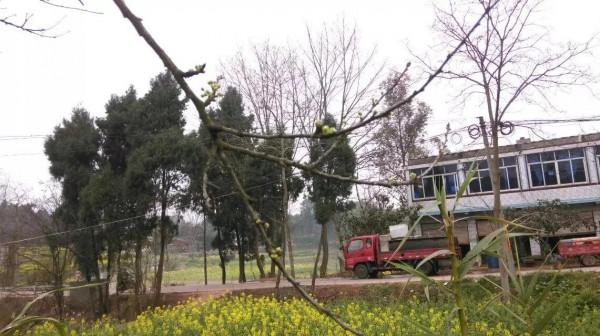 憶童年……(上) 憶童年……(上)