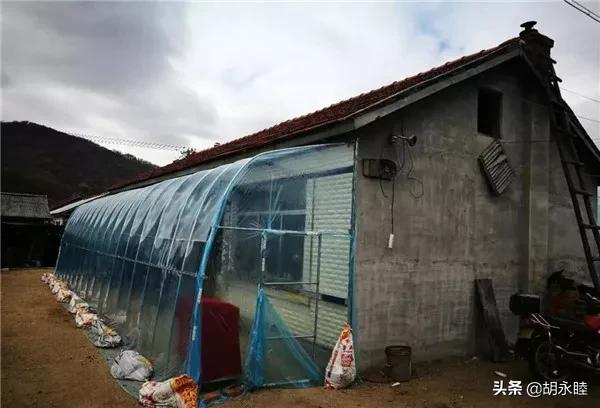 用15℃的水或10℃空氣直接供暖,還不如直接給房子扣個暖棚效果好 用15℃的水或10℃空氣直接供暖,還不如直接給房子扣個暖棚效果好