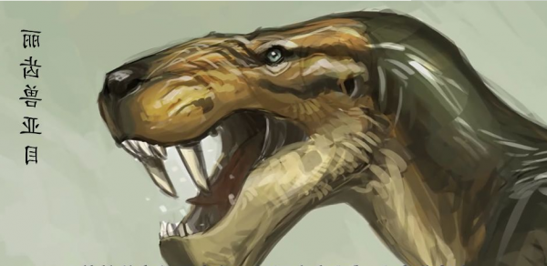 盤點地球各時期的生物霸主——（一）古生代