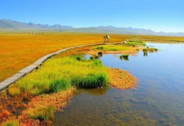 推薦8個涼爽的景點，暑假帶著孩子一起去旅行吧……