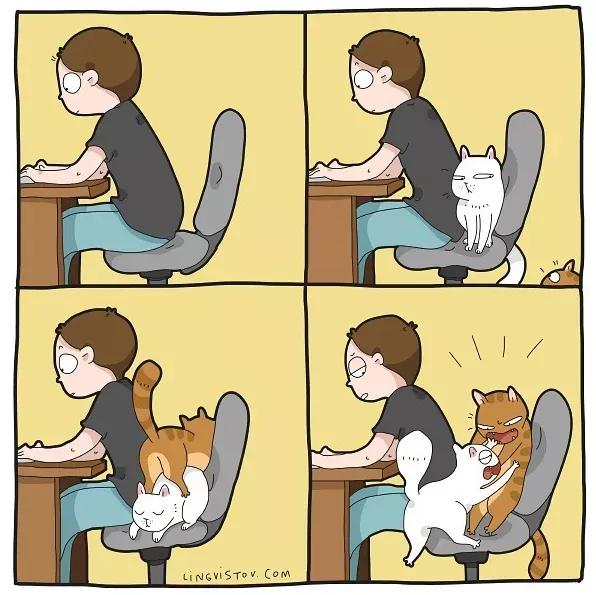 人間真實！藝術家筆下“貓主子”的日常