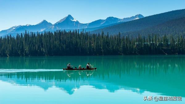 十一月處女座堅持理想，塞翁失馬安知非福，積累經驗或能厚積薄發