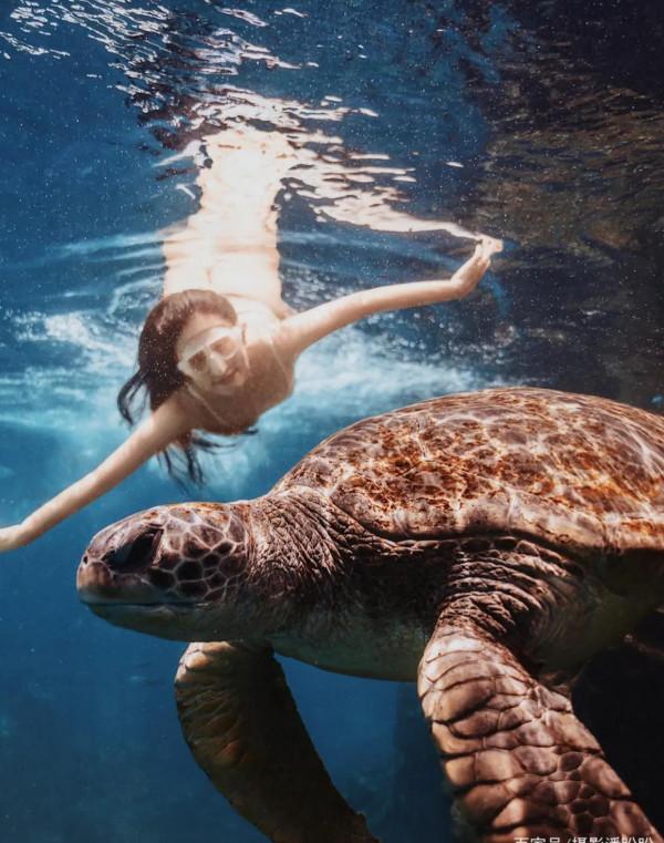 這輩子不後悔學了潛水;水下真的太美好了 這輩子不後悔學了潛水;水下真的太美好了