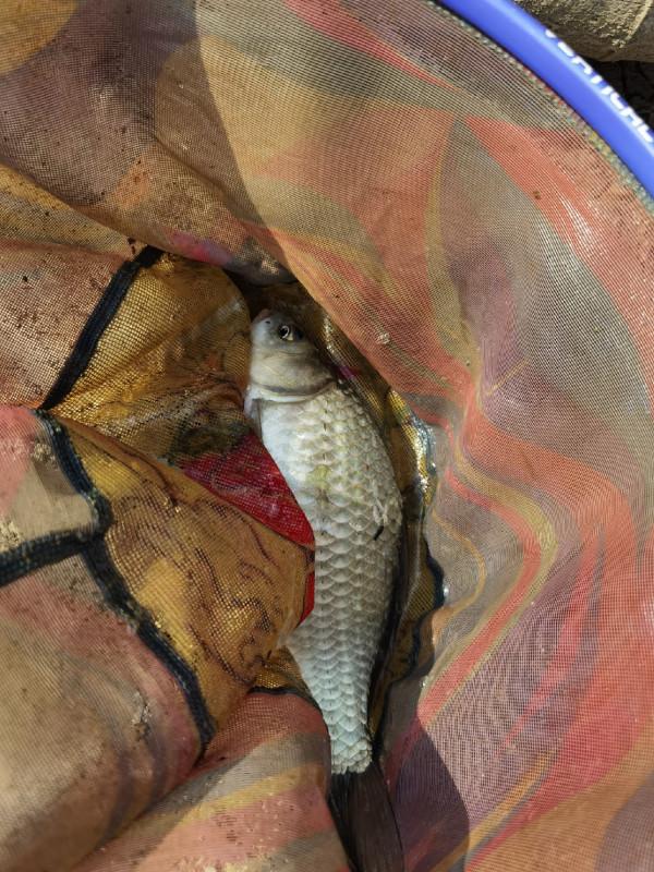 官莊水庫野釣爆護之旅,看看大師如何使用者實踐來證明 官莊水庫野釣爆護之旅,看看大師如何使用者實踐來證明