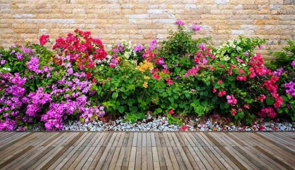 庭院裡的種樹真的很簡單？不不不，其實大有說法