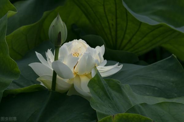 人過六十，你走過的每一步路都是歸途