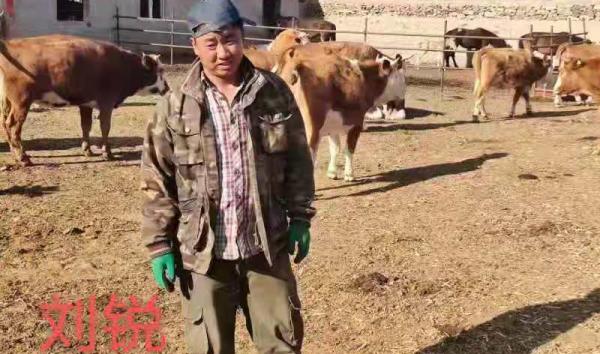 “鄉村振興，萬戶建立”——“農創杯”肉牛養殖科技示範戶已經產生啦！