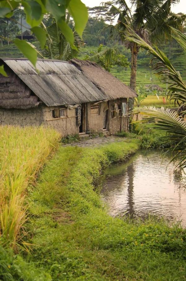 天堂裡的父愛 請原諒我懂的太遲