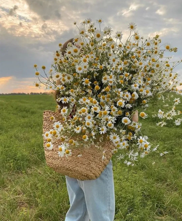 70多歲的老太太,把單身了48年的她,變成了兒子的女朋友 70多歲的老太太,把單身了48年的她,變成了兒子的女朋友