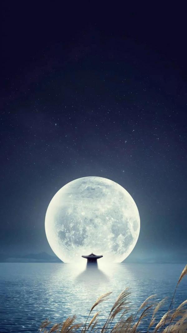 恐懼死亡,只因為我們太聰明 恐懼死亡,只因為我們太聰明