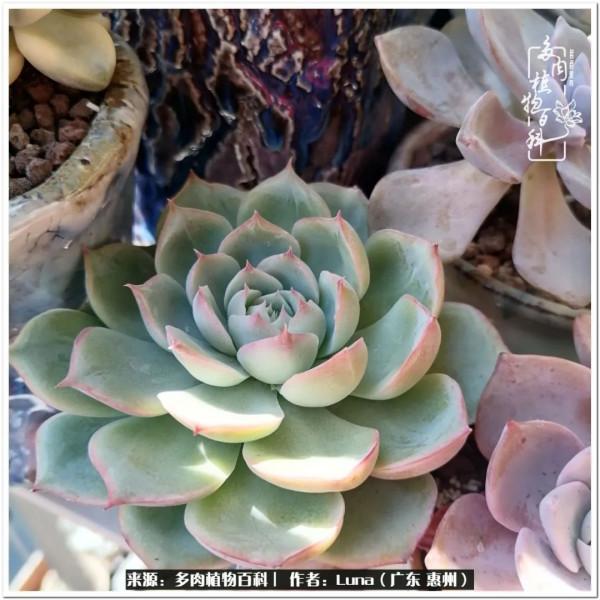 學會和解:與自己、與他人、與世界 學會和解:與自己、與他人、與世界