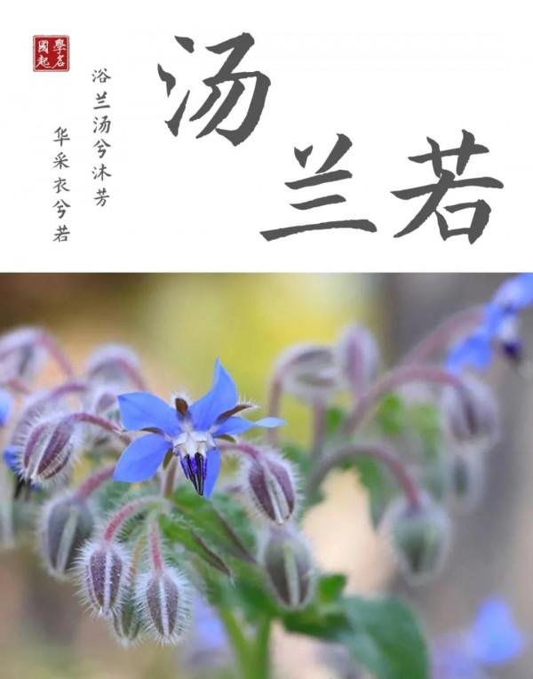 寶寶起名字：好聽有內涵，詩詞中寓意好的男孩名字女孩名字