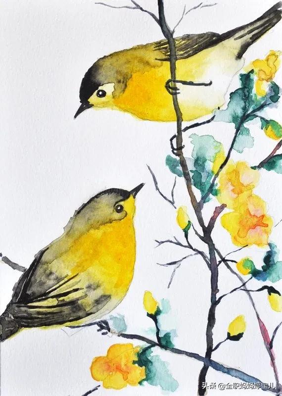 分享——栩栩如生的水彩鳥兒圖