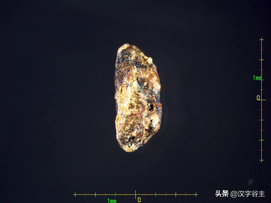 上山尋稻——走進國博“稻·源·啟明”上山文化考古特展