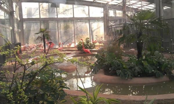 春暖花開想去北京玩