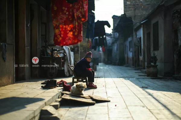 《月下陳老巷》 《月下陳老巷》