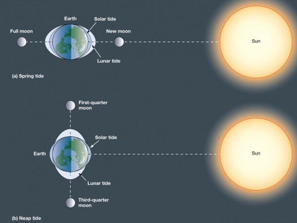 大海漲潮退潮的原理是啥？退潮以後的海水又去哪了？看完長知識了