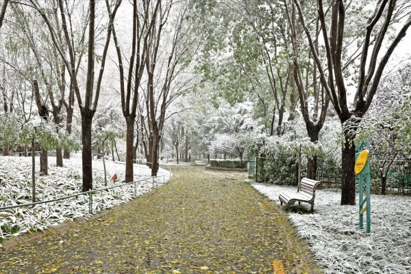 在這個季節中老年人要多注意這幾點,幫助你在健康路上少走彎路 在這個季節中老年人要多注意這幾點,幫助你在健康路上少走彎路