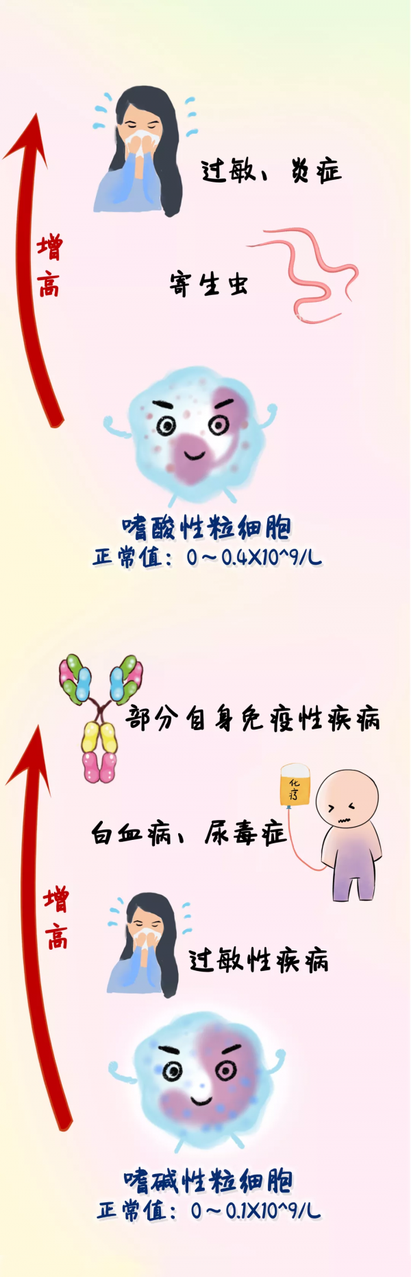 看到血常規報告腦殼痛？一圖教您讀懂