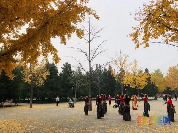 在地壇送別晚秋 在地壇送別晚秋