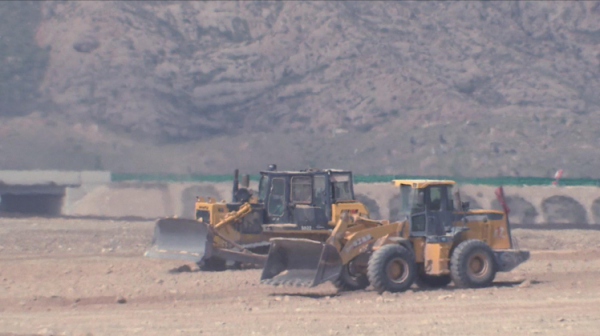 “傻大亨”陳德啟：賺國外的錢，回國投資16億開荒種葡萄，為啥？