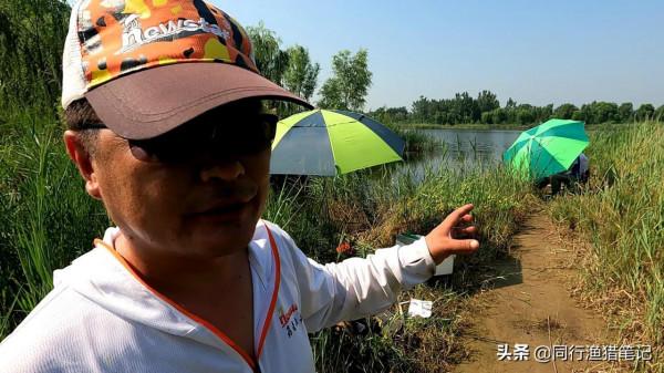 兩代釣魚人的尷尬，年輕人經常爆護，年老的卻無處可釣，好現實