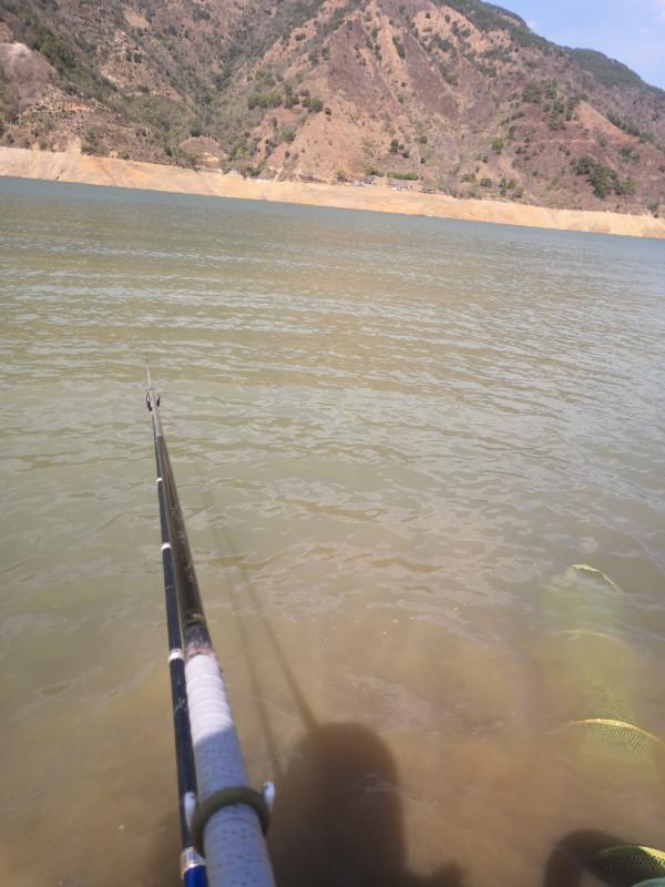 梅姐成功霸佔老公釣位,迎來新年開門紅 梅姐成功霸佔老公釣位,迎來新年開門紅