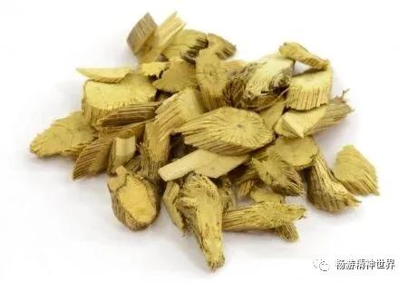 以方學藥：龍膽瀉肝湯