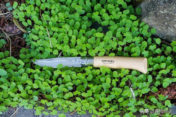揹包客、徒步旅行如何選擇戶外刀具，教會你鑑別刀鋼的型別與特性