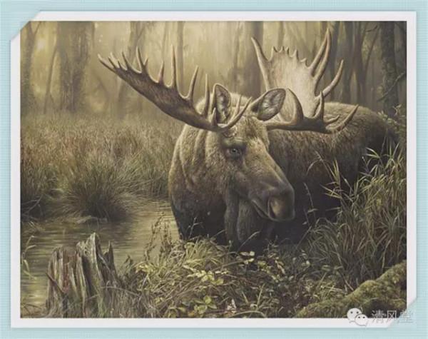 加拿大繪畫:野生動物的描繪 加拿大繪畫:野生動物的描繪