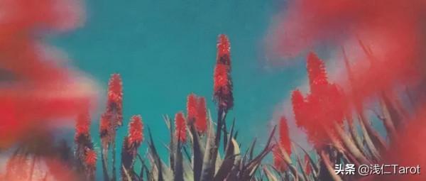 淺仁塔羅2月運勢 | 壬寅年來臨，永珍更新