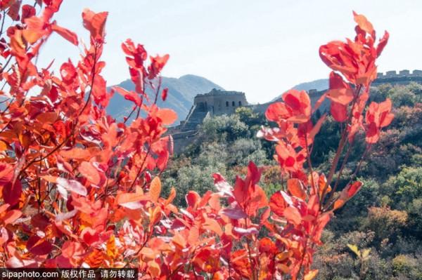 11月份“愛在深秋”,京郊這些人少景美的地方藏著秋天的愛 11月份“愛在深秋”,京郊這些人少景美的地方藏著秋天的愛