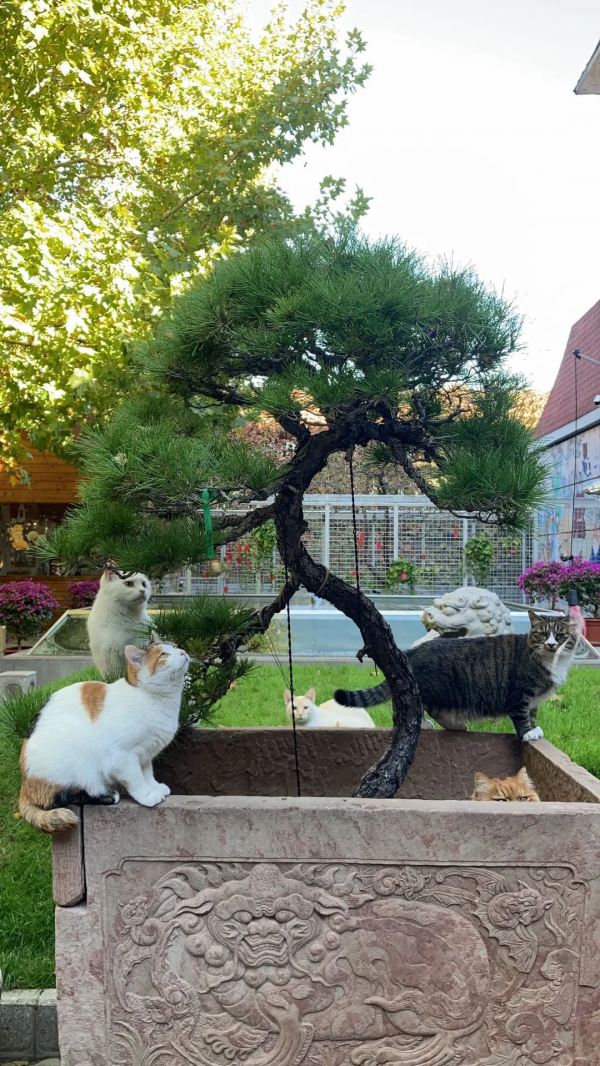 生命不能承受之…重