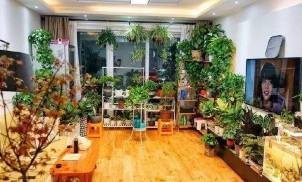 家裡養花有講究，5個地方“放不得”，亂擺亂放，影響健康養不好